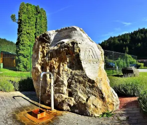 Fotografia miesta 7 od Liptovské liečebné kúpele, a.s., Lúčky