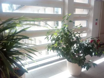 Fotografia miesta 5 od Rtg a ultrazvuková ambulancia