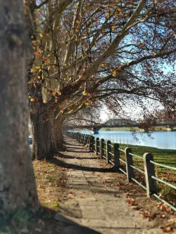 Fotografia miesta 7 od Slovenské liečebné kúpele Piešťany, a.s.