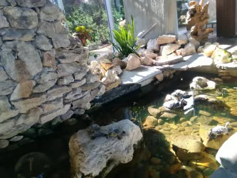 Fotografia miesta 10 od Kúpele Dudince - liečebné domy Rubín a Smaragd, kúpeľný hotel Minerál