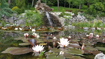 Fotografia miesta 3 od Kúpele Nimnica