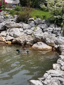 Fotografia miesta 10 od Kúpele Nimnica