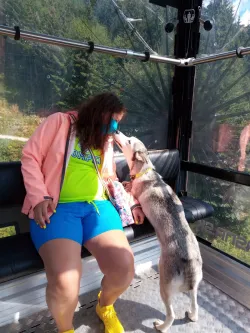 Fotografia miesta 9 od Veterinárna klinika Know hauTrnávka - MVDr. Johana Jenčová