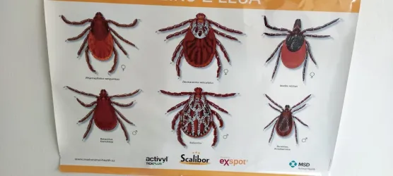 Fotografia miesta 4 od Veterinárna ambulancia SLIVET - MVDr. Eva Slízová