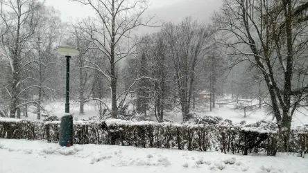 Fotografia miesta 4 od Diabetologická ambulancia - MUDr. Eva Fabianová