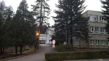 Fotografia miesta 5 od Ambulantná pohotovostná služba pre deti a dorast, Myjava, (Nemocnica s poliklinikou Myjava)
