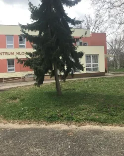 Fotografia miesta 7 od Pohotovosť pre deti a dorast (LSPP)