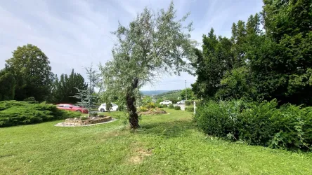 Fotografia miesta 8 od Ambulantná pohotovostná služba pre dospelých, Sabinov, (Poliklinika Sabinov, n.o.,)