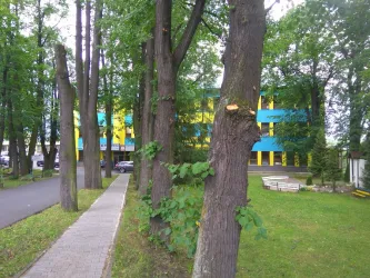 Fotografia miesta 5 od Ambulantná pohotovostná služba pre deti a dorast, (Nemocnica Dr. Vojtecha Alexandra v Kežmarku n.o.)