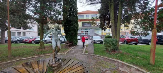 Fotografia miesta 9 od Ambulantná pohotovostná služba pre dospelých, Bardejov, (NsP Sv. Jakuba, n.o.)