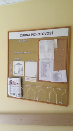 Fotografia miesta 6 od LSPP zubno-lekárska pre deti a dorast, Nitra (DENTAMAX s r.o.)