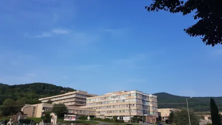 Fotografia miesta 4 od Ambulantná pohotovostná služba pre deti a dorast, Rožňava (Nemocnica s poliklinikou sv. Barbory Rožňava, a.s.)