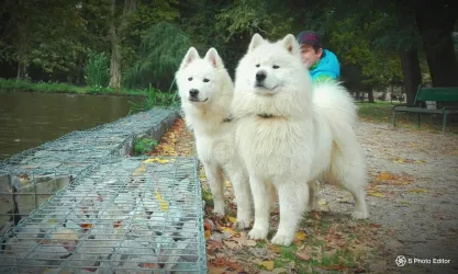 Fotografia miesta 4 od Veterinárna klinika NOVA-VET - MVDr. Peter Nováčik