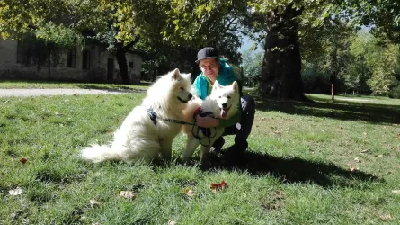 Fotografia miesta 5 od Veterinárna klinika NOVA-VET - MVDr. Peter Nováčik