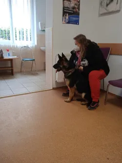 Fotografia miesta 2 od Veterinárna ambulancia Vetpark - MVDr. Jana Čičalová