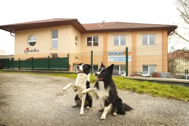 Fotografia miesta 3 od ZvolenVet - Veterinárna Klinika - MVDr. Gabriela Sliacka