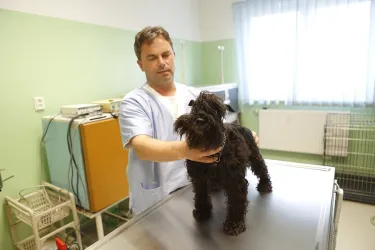 Fotografia miesta 4 od ZvolenVet - Veterinárna Klinika - MVDr. Gabriela Sliacka