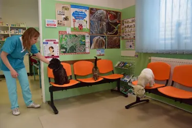 Fotografia miesta 5 od ZvolenVet - Veterinárna Klinika - MVDr. Gabriela Sliacka