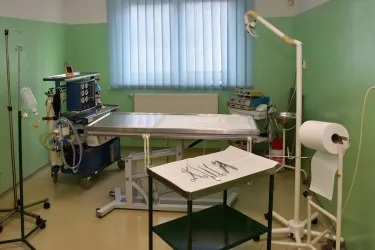 Fotografia miesta 6 od ZvolenVet - Veterinárna Klinika - MVDr. Gabriela Sliacka