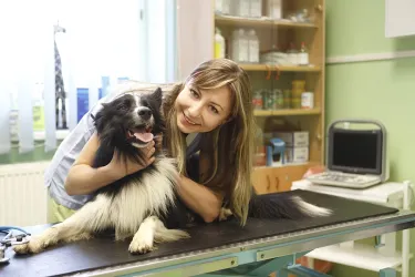 Fotografia miesta 8 od ZvolenVet - Veterinárna Klinika - MVDr. Gabriela Sliacka