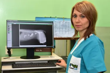 Fotografia miesta 9 od ZvolenVet - Veterinárna Klinika - MVDr. Gabriela Sliacka