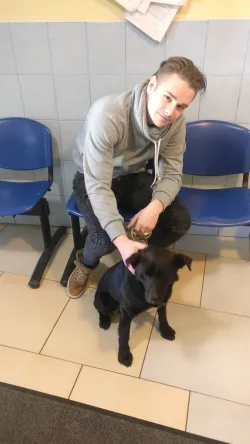 Fotografia miesta 6 od Veterinárna ambulancia MVDr. Marian Mikloš