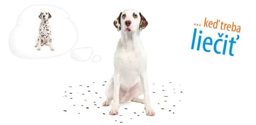 Fotografia miesta 10 od Veterinárna ambulancia MVDr. Marian Mikloš