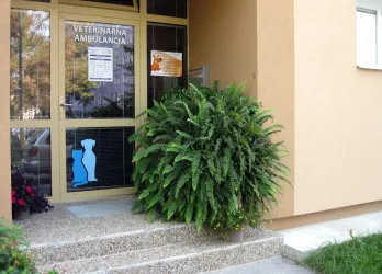 Fotografia miesta 2 od Mobilná veterinárna ambulancia EUROVET - MVDr. Daniela Laurenčíková