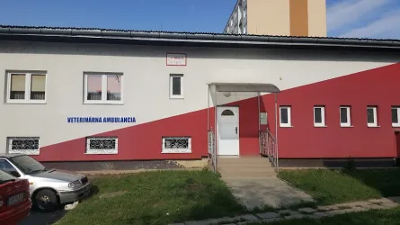 Fotografia miesta 1 od Renvet Snina - MVDr. Renáta Gnipová