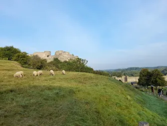 Fotografia miesta 2 od Veterinárna ambulancia - Devínska Nová Ves - MVDr. Vojtech Baculák