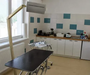 Fotografia miesta 3 od ESVet veterinárna ambulancia - MVDr. Elemír Kálmán