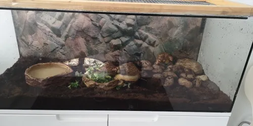 Fotografia miesta 6 od ESVet veterinárna ambulancia - MVDr. Elemír Kálmán