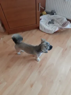 Fotografia miesta 4 od Veterinárna ambulancia - MVDr. Silvia Hurbanová