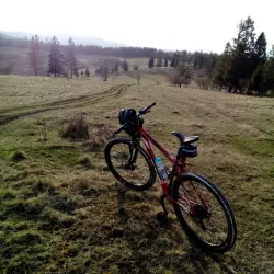 Fotografia miesta 5 od Veterinárna ambulancia Smižany - MVDr. Kristína Kovaľová
