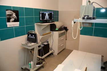 Fotografia miesta 1 od Veterinárna ambulancia OraVet - MVDr. Tomáš Krupa