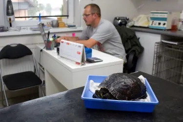 Fotografia miesta 4 od Veterinárna ambulancia OraVet - MVDr. Tomáš Krupa