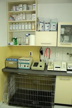 Fotografia miesta 7 od Veterinárna ambulancia OraVet - MVDr. Tomáš Krupa