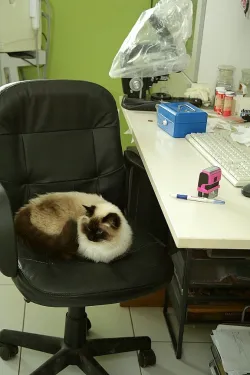 Fotografia miesta 8 od Veterinárna ambulancia OraVet - MVDr. Tomáš Krupa