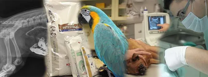 Fotografia miesta 1 od Veterinarna Klinika Nagy-Vet  , v MADe