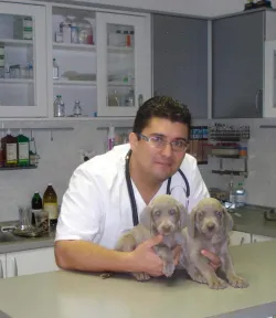 Fotografia miesta 10 od Veterinarna Klinika Nagy-Vet  , v MADe