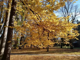 Fotografia miesta 6 od Zlaté kúpele Turčianske Teplice