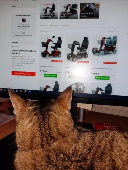 Fotografia miesta 9 od Elektro vozíky pre seniorov a telesne postihnutých - Bc. Peter Hudák