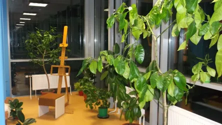 Fotografia miesta 4 od GRANDPARK n.o. - Ing. Tomáš Majerník