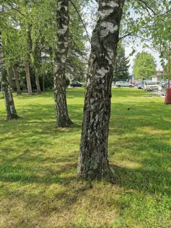 Fotografia miesta 3 od Nemocnica s poliklinikou Ilava, n. o. - MUDr. Miroslav Staník