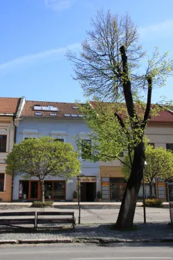 Fotografia miesta 10 od Stomatologická ambulancia / Radiológia - MUDr. Ondrej Mokriš