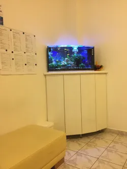 Fotografia miesta 2 od Zubná ambulancia  AP ORTHO s. r. o. - MUDr. Jozef Galbavý