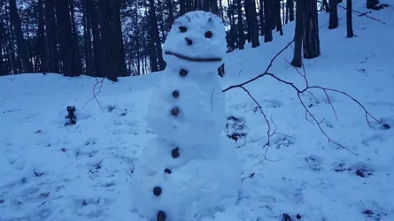 Fotografia miesta 1 od Všeobecná ambulancia pre dospelých - MUDr. Eva Ďuričková