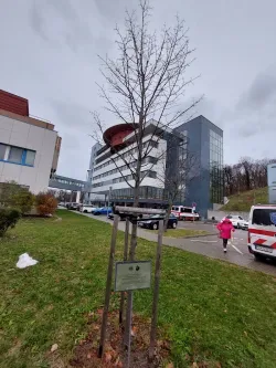 Fotografia miesta 2 od Anesteziologická ambulancia - Národný ústav srdcových a cievnych chorôb, a.s. - MUDr. Eva Goncalvesová , CSc.