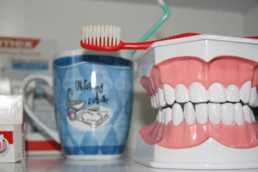 Fotografia miesta 3 od Ambulancia zubného lekárstva - AL-AMEERAH DENT s.r.o. - MUDr. Alaa Abu Shareia