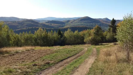Fotografia miesta 1 od Všeobecná ambulancia pre dospelých - MUDr. Mária Bezeková